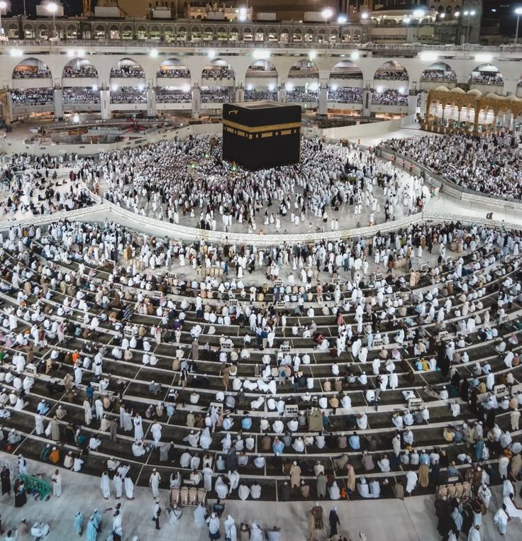 تكريم شركة المصباح للسياحة